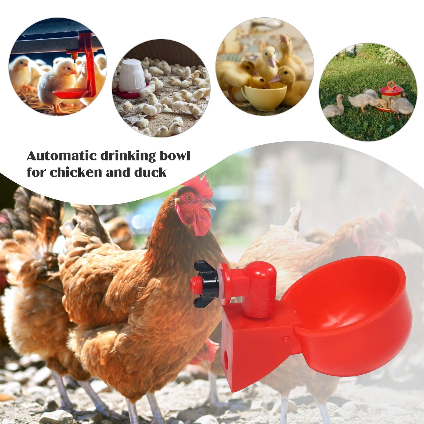 6-60pcs Chicken Drinking Cup Automatic Drinker Chicken Feeder Poultry Waterer Drinking Water Feeder for Chicks Duck Goose Quail