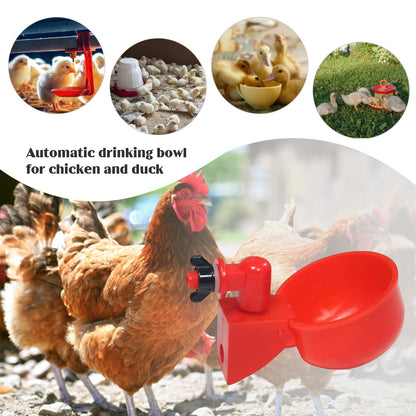 6-60pcs Chicken Drinking Cup Automatic Drinker Chicken Feeder Poultry Waterer Drinking Water Feeder for Chicks Duck Goose Quail