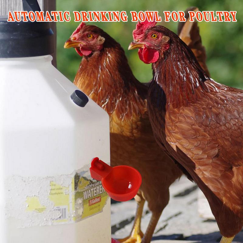 Automatic Chicken Watering Cups Plastic Poultry Waterer Cups Hanging Backyards Poultry Coop Feeder Water Drinking Cups