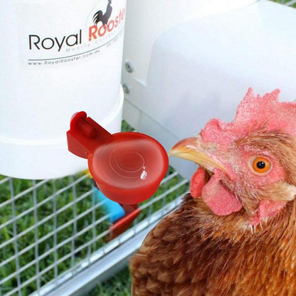 Automatic Chicken Watering Cups Plastic Poultry Waterer Cups Hanging Backyards Poultry Coop Feeder Water Drinking Cups