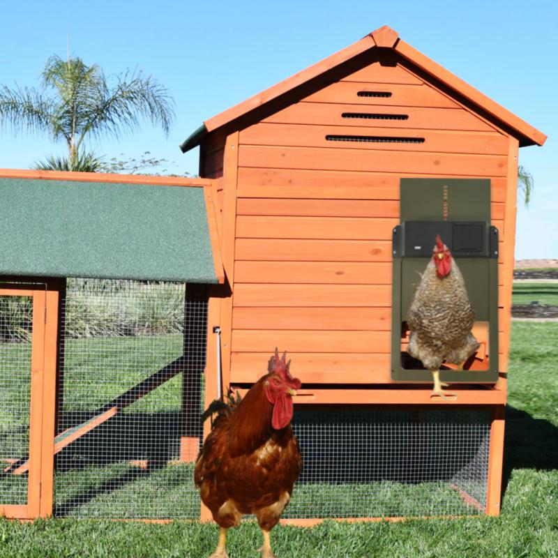 Automatic Chicken Coop Door Light Sensor Automatic Chicken House Door High Quality And Practical Chicken Pets Duck Cages Door