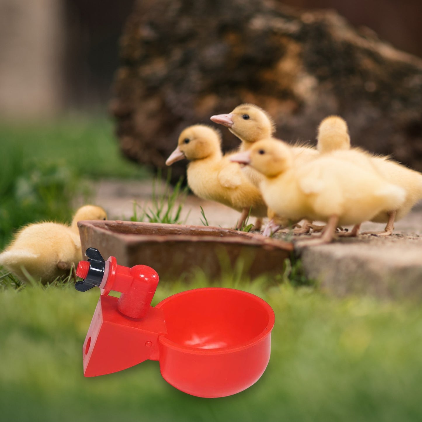 6-60pcs Chicken Drinking Cup Automatic Drinker Chicken Feeder Poultry Waterer Drinking Water Feeder for Chicks Duck Goose Quail