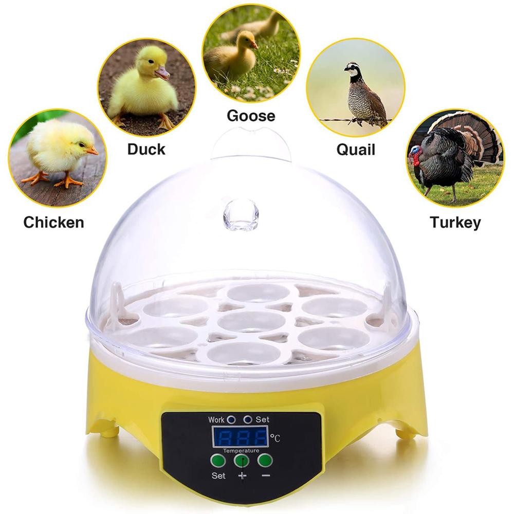 Mini 7 Egg Incubator Poultry Incubator Brooder Digital Temperature Farm Hatchery Egg Incubator Chicken Duck Bird Pigeon Hatcher