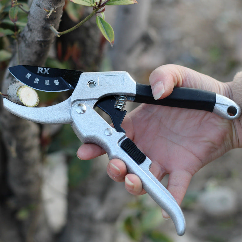 Gardening Pruning Shears / Clippers